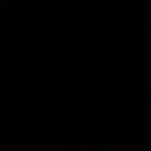 Meet your Posher, Maggie